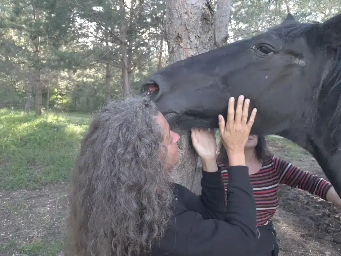 Ein schwarzes Pferd schmiegt den Kopf an Alma.