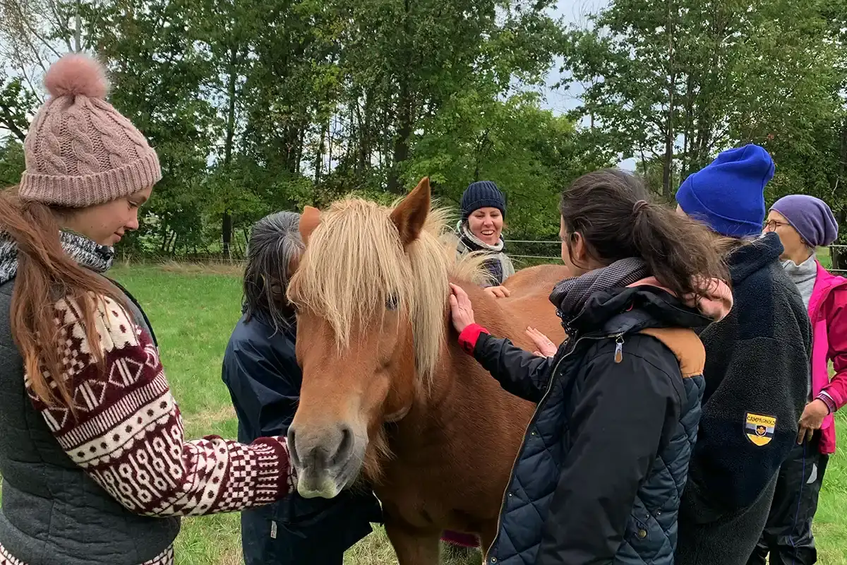 Frauen stehen um ein Pony und berühren es behutsam.